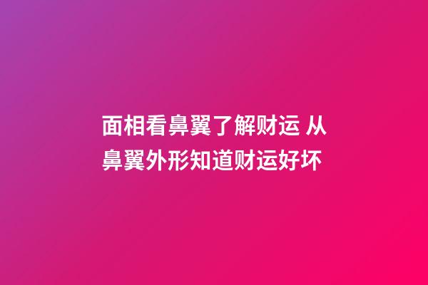 面相看鼻翼了解财运 从鼻翼外形知道财运好坏